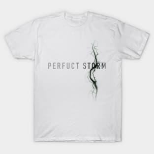 Perfuct Storm Logo - light T-Shirt
